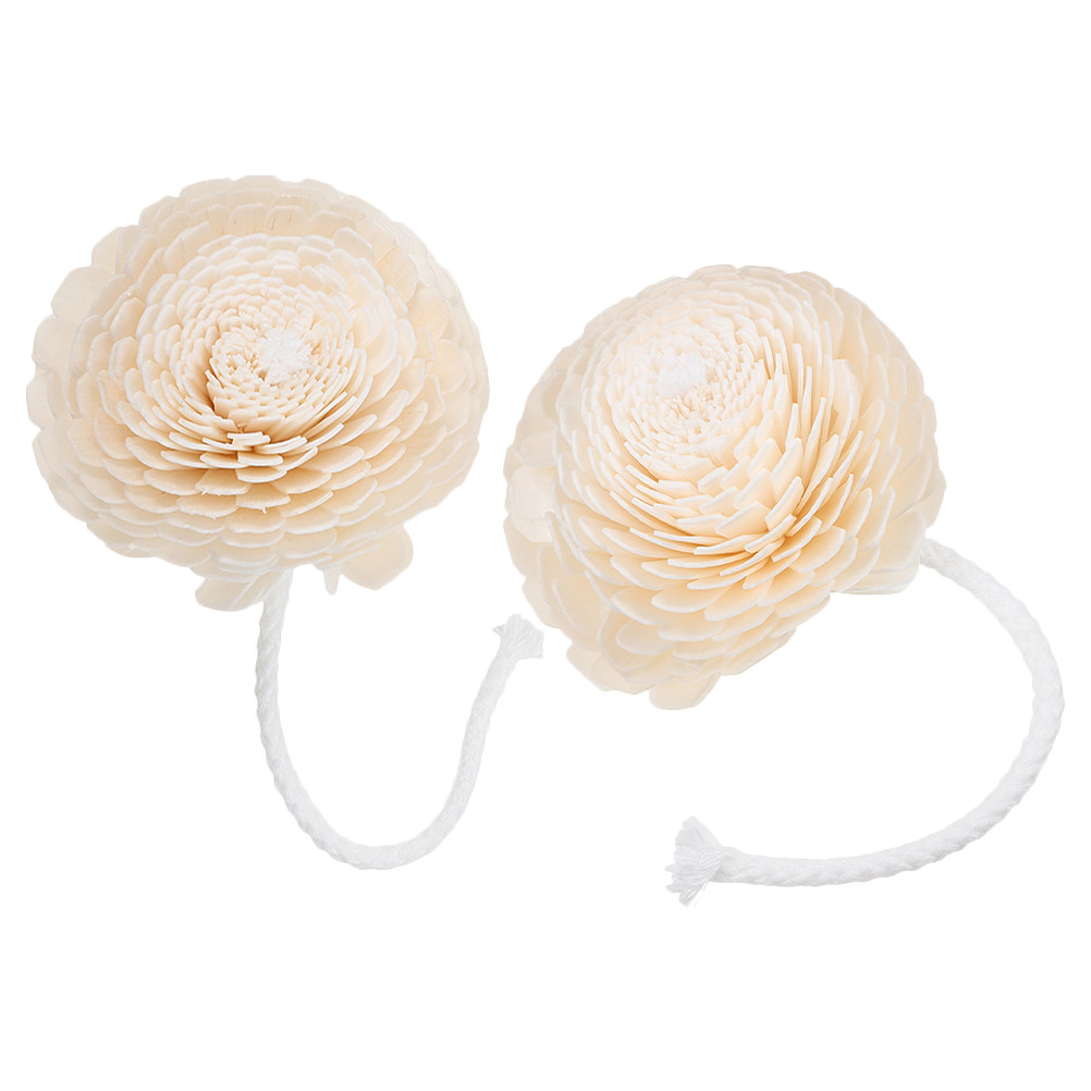 2Pcs Fragrance Bottle Diffuser - Home Fragrance For Diffuser incelemesi ve fiyatı